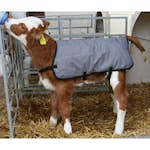 Kalvtäcke Kellfri Ripstopp