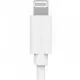 Laddningskabel Smartline Lightning USB-C Vit 1 m