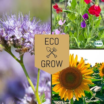 Blomfröer Eco Grow Pollinatörmix - Blommor för Bin 3-pack