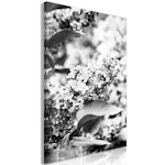 Tavla Arkiio Monochrome Lilac