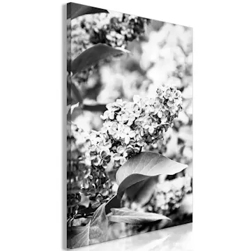 Tavla Arkiio Monochrome Lilac