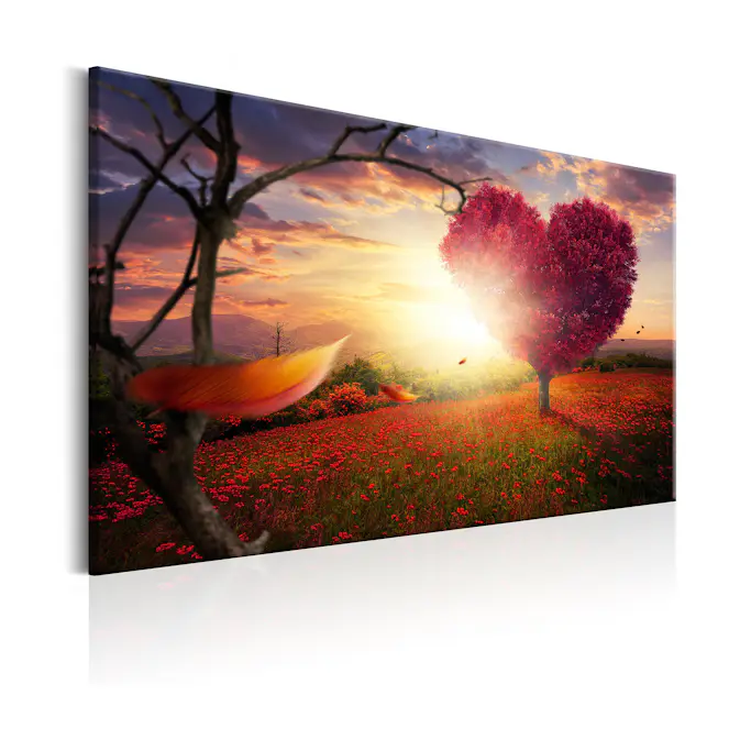 Tavla Arkiio Land Of Love