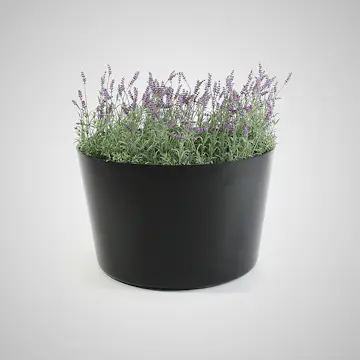 Planteringskärl Formenta Happy