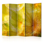 Rumsavdelare Skärmvägg Arkiio Soft Dandelion Flower II 225x172 cm