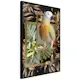Poster Artgeist Affisch Golden Parrot