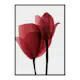 Poster Gallerix Red Tulips No1