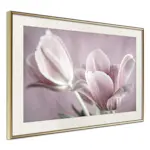 Poster Artgeist Affisch Pink Tulips