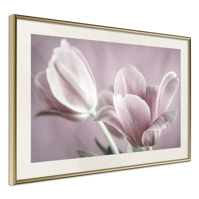 Poster Artgeist Affisch Pink Tulips