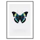 Poster Gallerix Butterfly Display