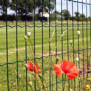 Stängsel Hortus Grönt 20x1,2 m Med Maskor 10x5 cm