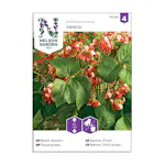 Frö Rosenböna Nelson Garden Hestia Låg