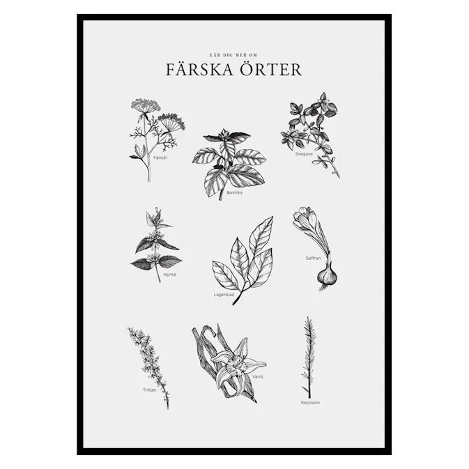Poster Gallerix Färska Örter