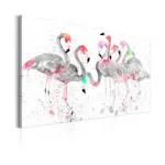 Tavla Arkiio Flamingoes Dance
