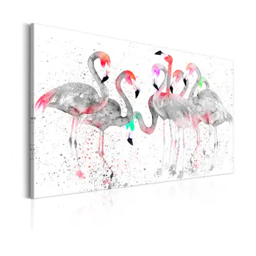 Tavla Arkiio Flamingoes Dance