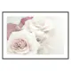 Poster Gallerix Perfect Pair Roses