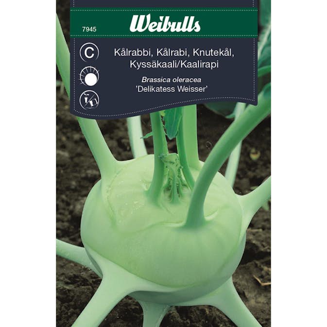 Frö Kål Weibulls Kålrabbi Delikat Weisser