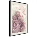 Poster Artgeist Affisch Delicate Peonies