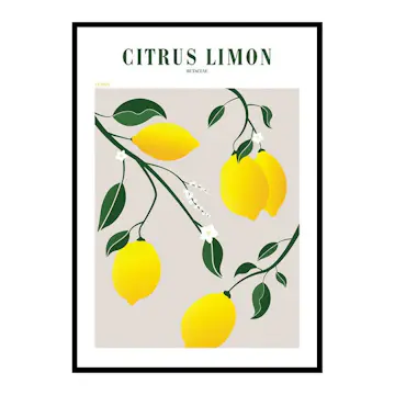 Poster Gallerix Citrus Limon