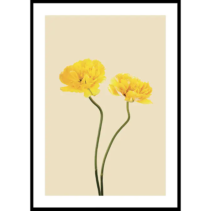 Poster Gallerix Yellow Tulips