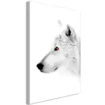 Tavla Arkiio Amber Gaze