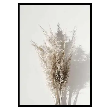 Poster Gallerix Dry Reeds No1