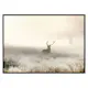 Poster Gallerix Deer In Mist