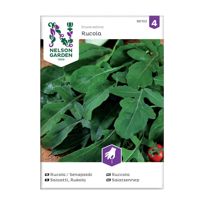 Frö Rucola Senapskål Nelson Garden