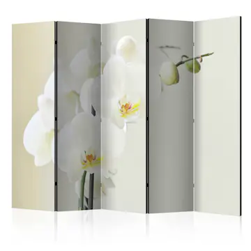 Rumsavdelare Skärmvägg Arkiio White Orchid II 225x172 cm