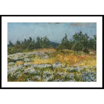 Poster Gallerix A Little Bit of Heather By František Kaván