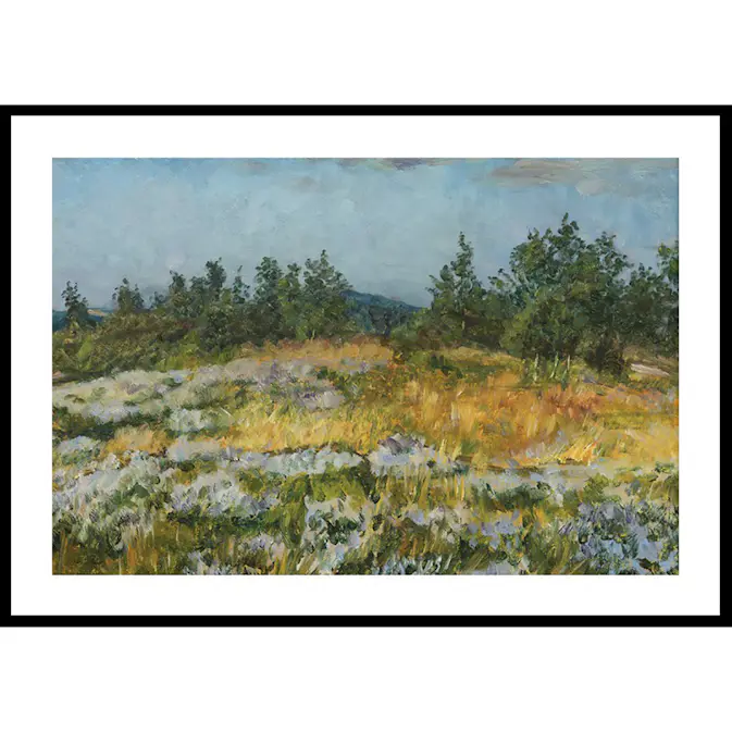 Poster Gallerix A Little Bit of Heather By František Kaván