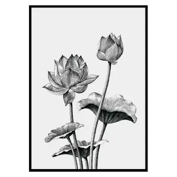 Poster Gallerix Sketched Flowers
