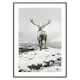 Poster Gallerix Winter Roe Deer