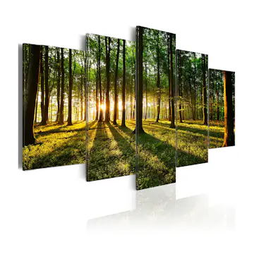 Tavla Arkiio Adventure In The Woods