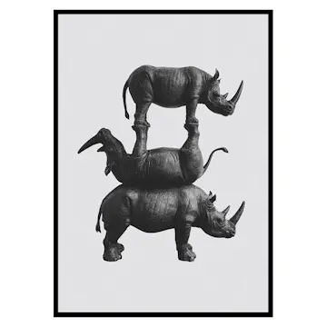 Poster Gallerix Three Rhinos