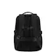 Ryggsäck Samsonite BIZ2GO 17.3" Exp Overnight