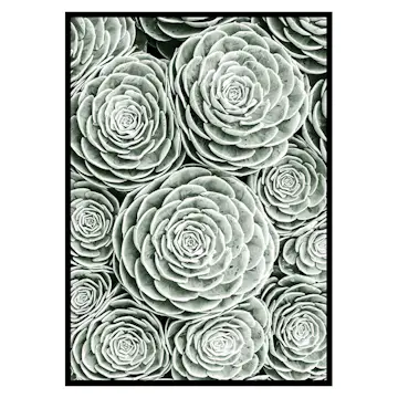 Poster Gallerix Bright Green Botanical No3