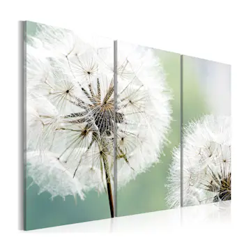 Tavla Arkiio Fluffy Dandelions