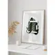 Poster Gallerix Monstera Boxed