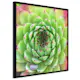 Poster Artgeist Affisch Succulent