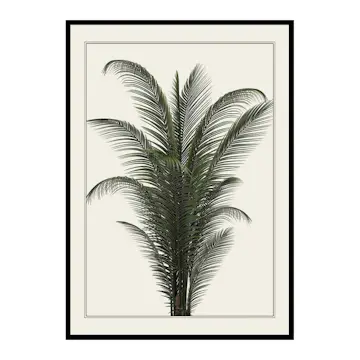 Poster Gallerix Palm Tree