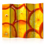 Rumsavdelare Skärmvägg Arkiio Orange Slices II 225x172 cm