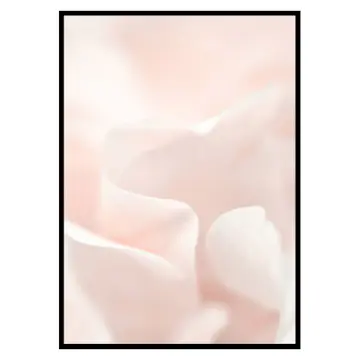 Poster Gallerix Tender Flowers No2