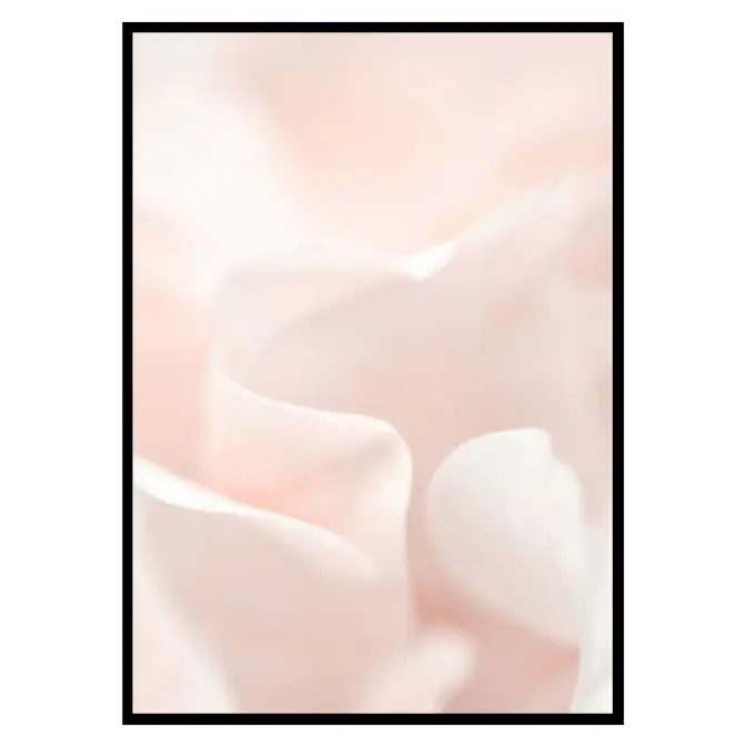 Poster Gallerix Tender Flowers No2