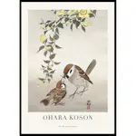 Poster Gallerix Birds And Plants No2 By Ohara Koson