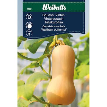 Frö Squash Weibulls Vinter