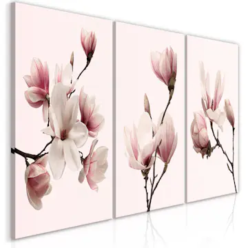 Tavla Arkiio Spring Magnolias (3 Parts)