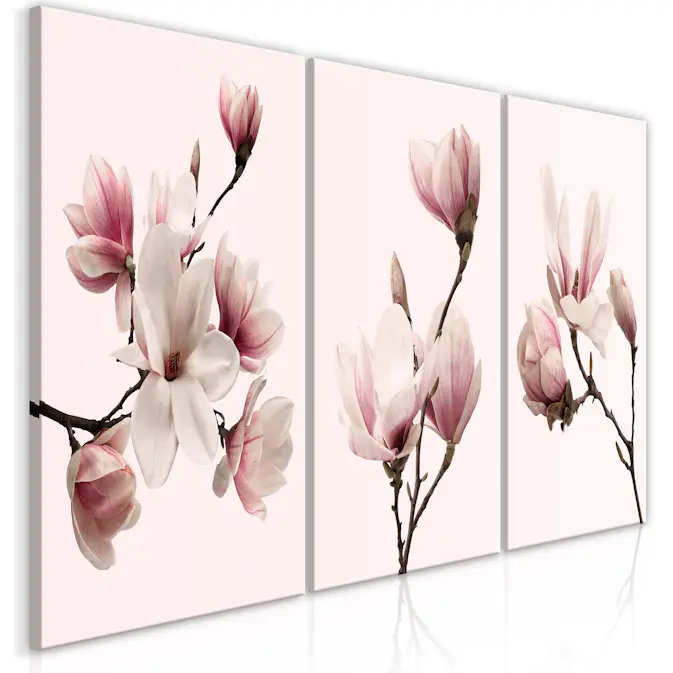 Tavla Arkiio Spring Magnolias (3 Parts)