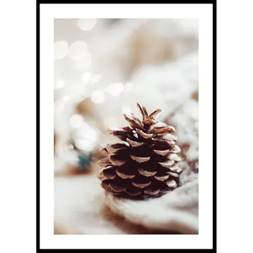 Poster Gallerix Fir Cone