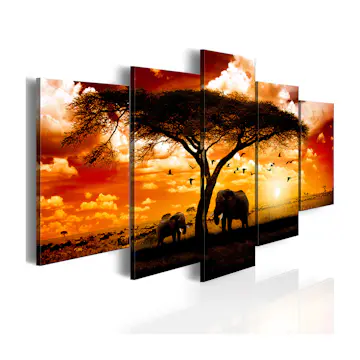 Tavla Arkiio Flock Fåglar Över Savannen