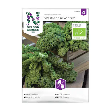 Frö Grönkål Nelson Garden Westlandse Winter Organic